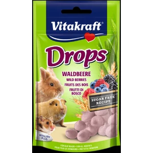 Vitakraft Drops 75g - erdei gyümölcs