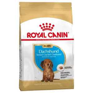 Royal Canin Dachshund Adult 500G száraz táp kutyáknak