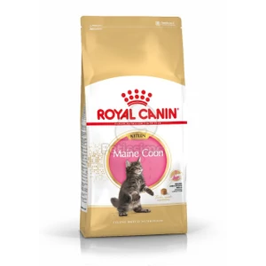 Royal Canin Maine Coon Kitten 2Kg száraz táp macskáknak